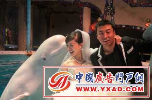 ʥǺ磭׸֮Ի